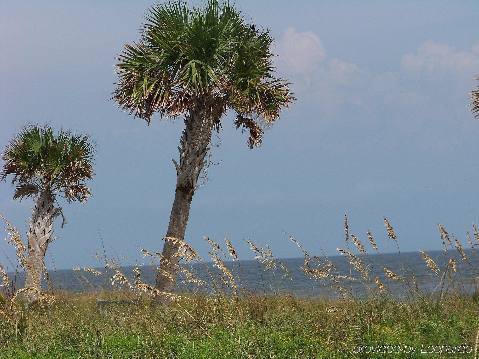 Holiday Inn Express Saint Simons Island By Ihg St. Simons Island Extérieur photo